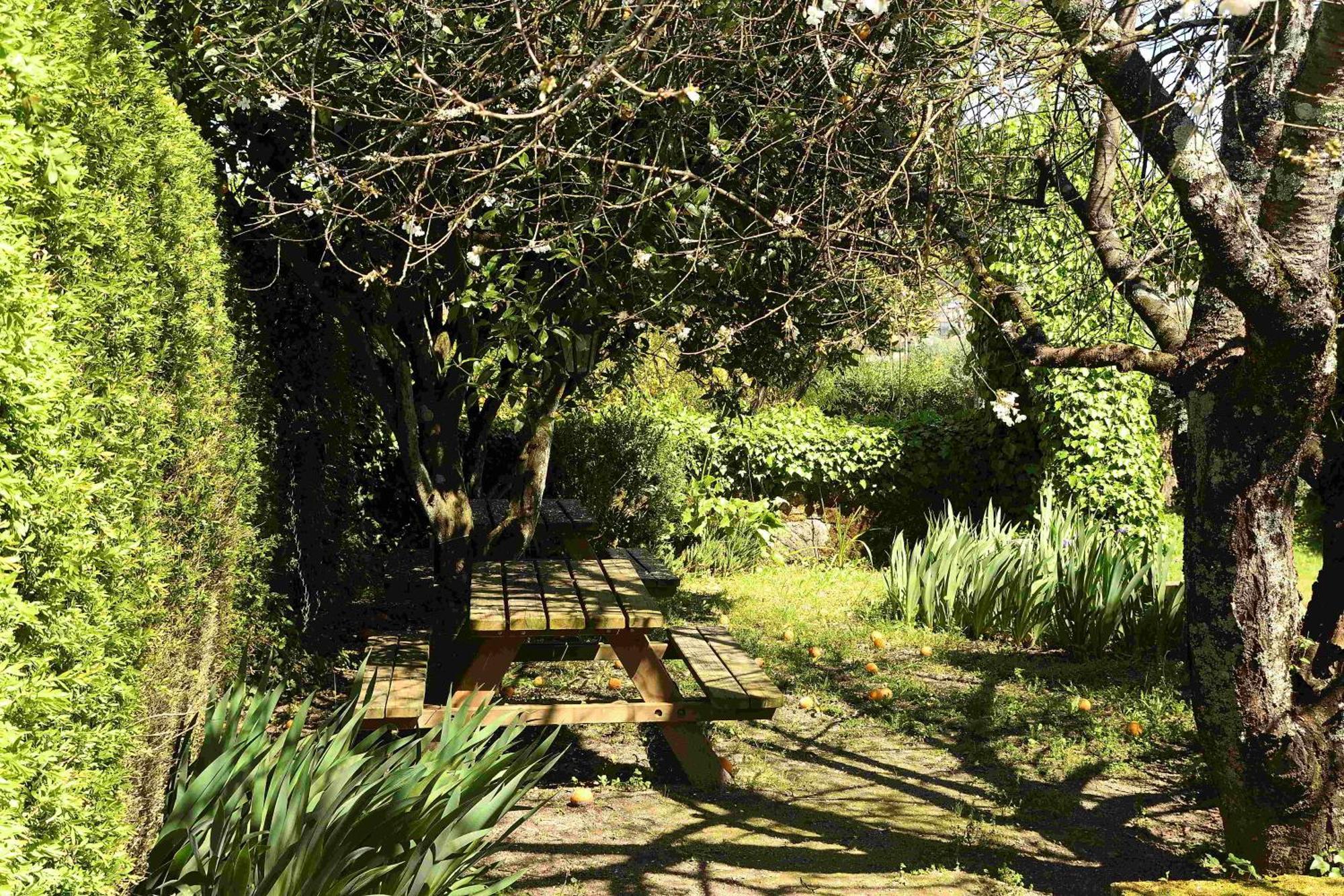 Quinta Da Fata Villa Nelas Luaran gambar