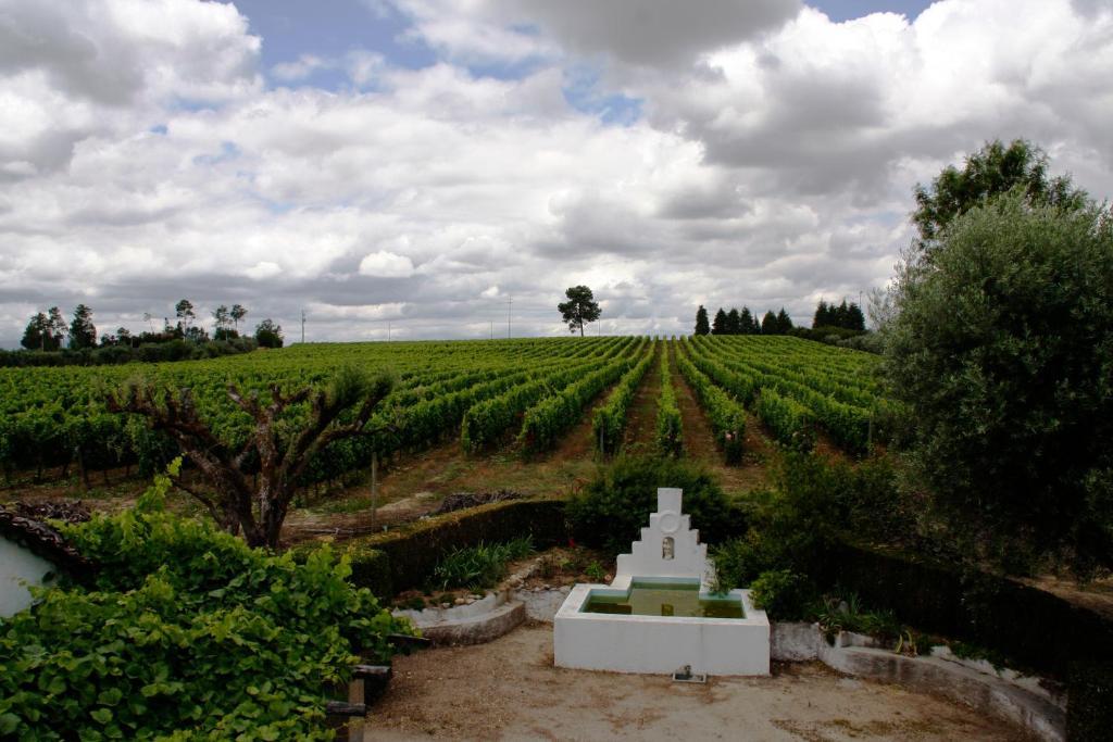Quinta Da Fata Villa Nelas Luaran gambar